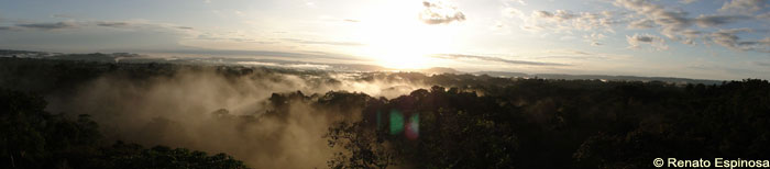 Vista al este desde la torre