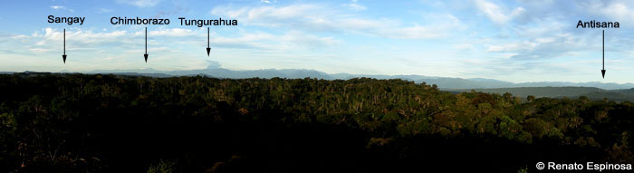 Western View from Tower